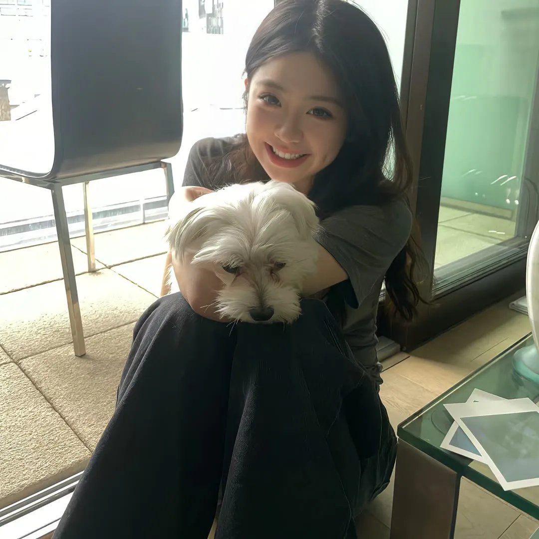 娜娜的玫瑰战争
